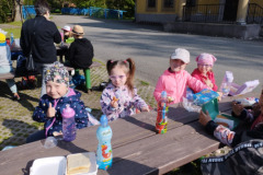 IMG_20250429_084134