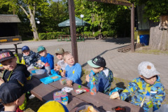 IMG_20250429_084226