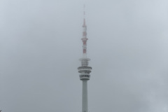 IMG_6600