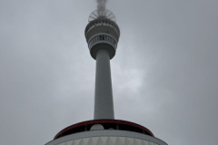 IMG_6618