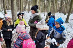 FDC13B10-E0FE-4F08-BBAB-CBFA16D70058