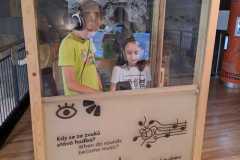 98512802-0368-44bf-b142-be583d005a87